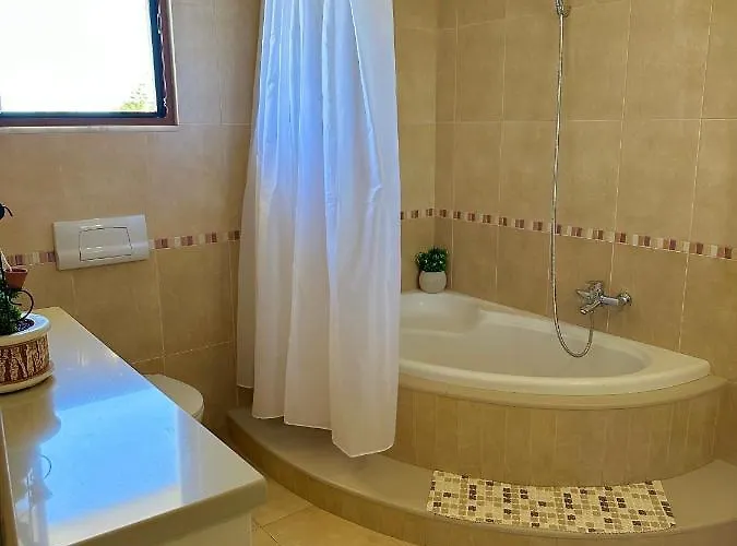 Paradise Family باراديسيون